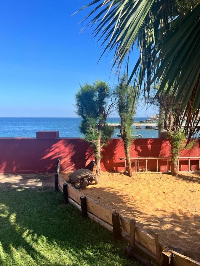 Chez Olivier - Ile De Gorée Exterior foto